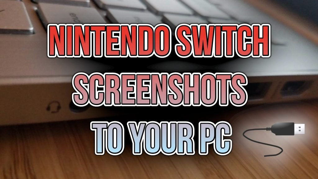 Nintendo Switch screenshots transfer to PC