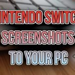 Nintendo Switch screenshots transfer to PC